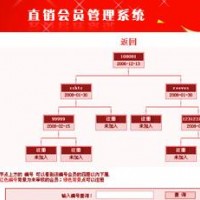 直销网站建设,超级版双轨制直销模式