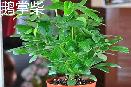 20180817155304_72105