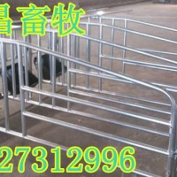 猪舍使用定位栏的好处母猪高床限位栏复合保胎母猪栏
