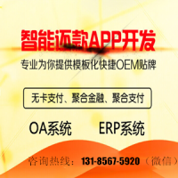 代还系统app定制还是OEM开发