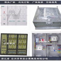 国网标准三相电表箱塑胶模具