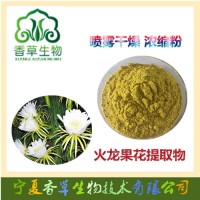 火龙果花提取物 火龙果粉 火龙果花粉 火龙果花纯粉