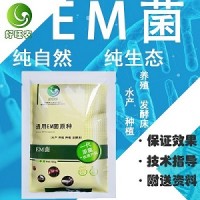 淡水养鱼怎样能更好的利用饲料投喂