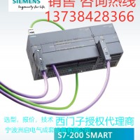 西门子S7-200S*RT代理商