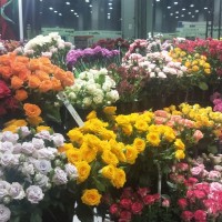 2020亚洲花卉产业博览会亚洲花艺及花店用品展