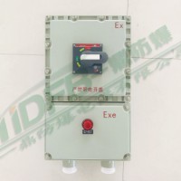 BDZ防爆断路器 防爆开关箱 防爆电源箱
