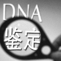 纳泓DNA鉴定