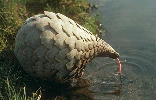 u=155167660,914909126&fm=26&gp=0