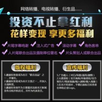 怎么参与影视投资出品方*实份额？