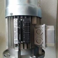 意大利ELECTRO ADDA电机FT2A132M-4