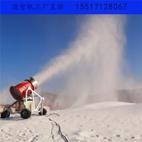 了解国产人工造雪机特性 雪粉造雪机价格