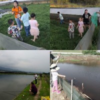 长沙避暑胜地长沙周边农家乐旅游