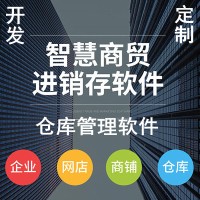 仓库ERP系统开发 进销存二批系统开发 进出库ERP系统开发