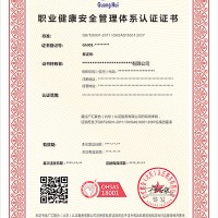 职业健康安全管理体系*
