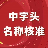 无地域疑难核名怎么操作