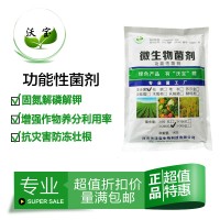 复合功能性菌固氮解磷解钾微生物肥料添加1吨加1公斤大棚经济作物