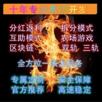 山东分红盘开发咨询，分红盘源码出售，正规分红资金盘