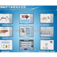 动物病理学虚拟仿*实验系统