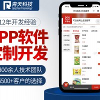 开发租车APP需要什么功能