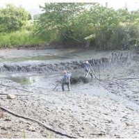 太仓河道清淤池塘清淤抽污泥外运