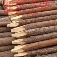 厂家供应杉木带皮工程木桩木护坡木桩河道木桩杉木桁料
