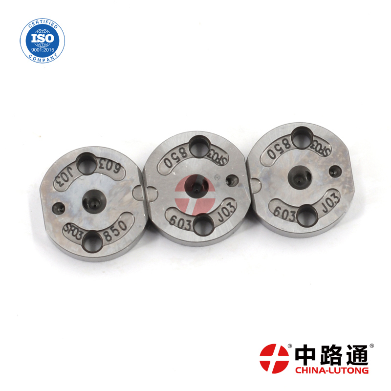 *sel-injector-valve-plate (6)