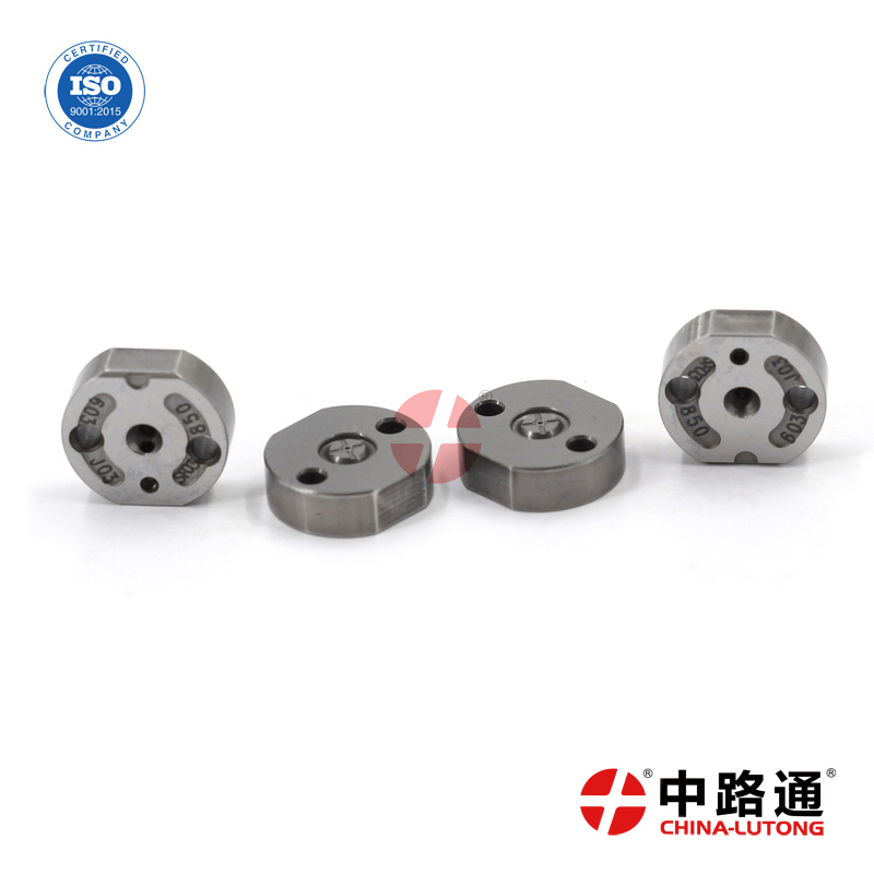 *sel-injector-valve-plate (24)