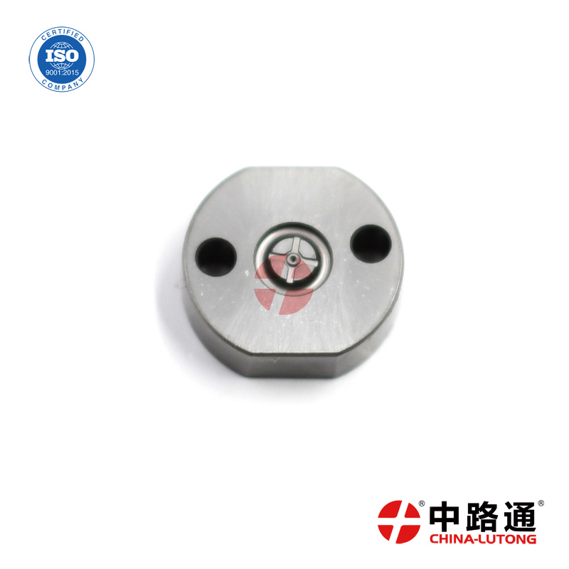 Common-Rail-Injector-Valve-Plate (13)