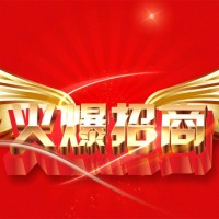 2021下半年影视大区招代理